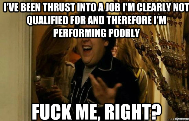 I've been thrust into a job i'm clearly not qualified for and therefore i'm performing poorly FUCK ME, RIGHT?  fuck me right