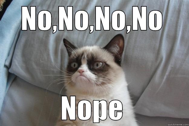 the big no - NO,NO,NO,NO NOPE Grumpy Cat