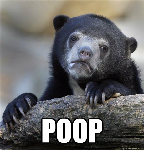 POOP  Confession Bear