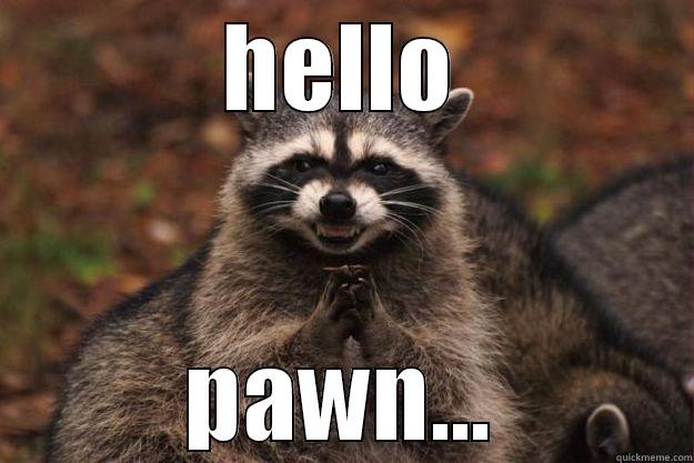 Hello pawn - HELLO PAWN... Evil Plotting Raccoon