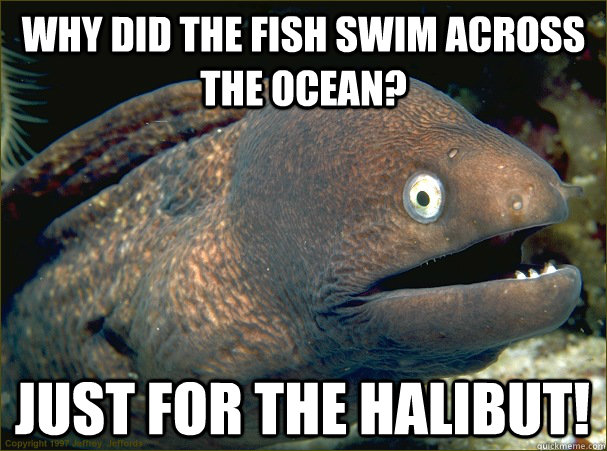 Why did the fish swim across the ocean? Just for the Halibut!  Bad Joke Eel