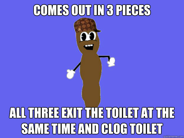 Comes out in 3 pieces All three exit the toilet at the same time and clog toilet  Scumbag Shit