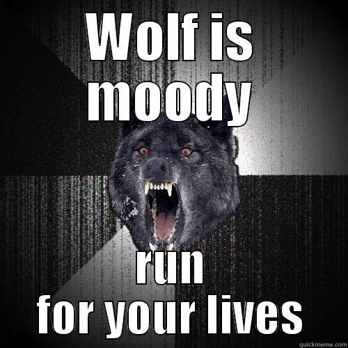 WOLF IS MOODY RUN FOR YOUR LIVES Insanity Wolf