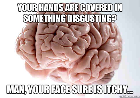 Your hands are covered in something disgusting? Man, your face sure is itchy...  Scumbag Brain