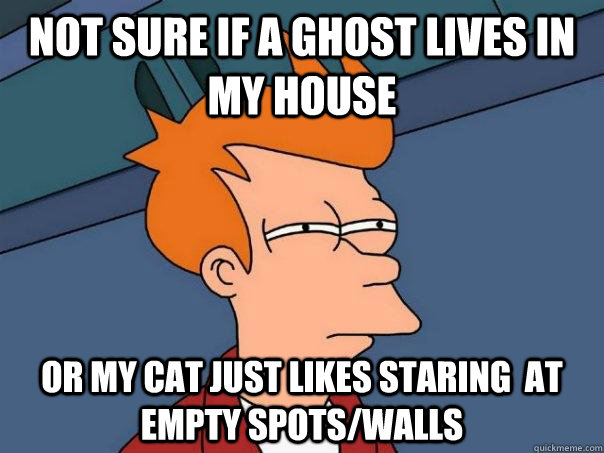 Not sure if a ghost lives in my house Or my cat just likes staring  at empty spots/walls  Futurama Fry