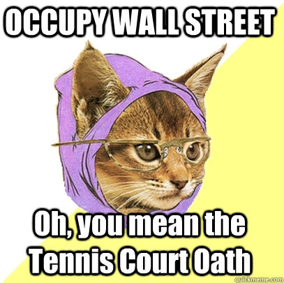 OCCUPY WALL STREET Oh, you mean the Tennis Court Oath  Hipster Kitty