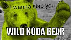    WILD KODA BEAR  Misc
