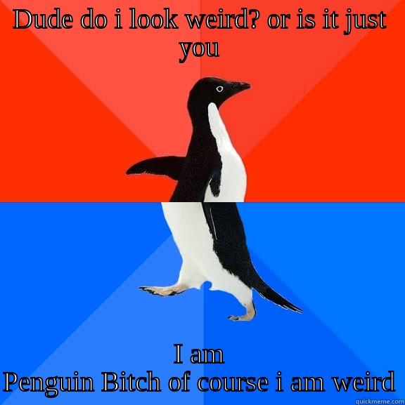 DUDE DO I LOOK WEIRD? OR IS IT JUST YOU I AM PENGUIN BITCH OF COURSE I AM WEIRD Socially Awesome Awkward Penguin
