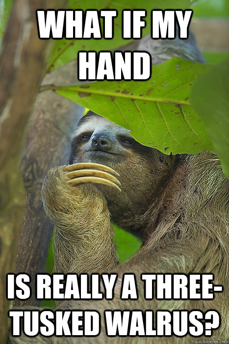 What if my hand Is really a three-tusked walrus?  Philososloth