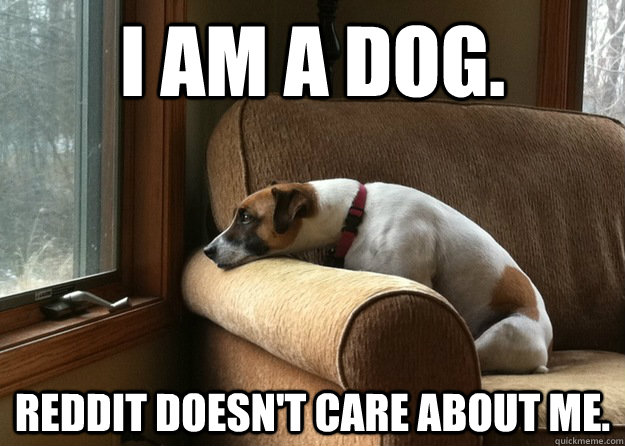 I am a dog. Reddit doesn't care about me. - I am a dog. Reddit doesn't care about me.  Misc