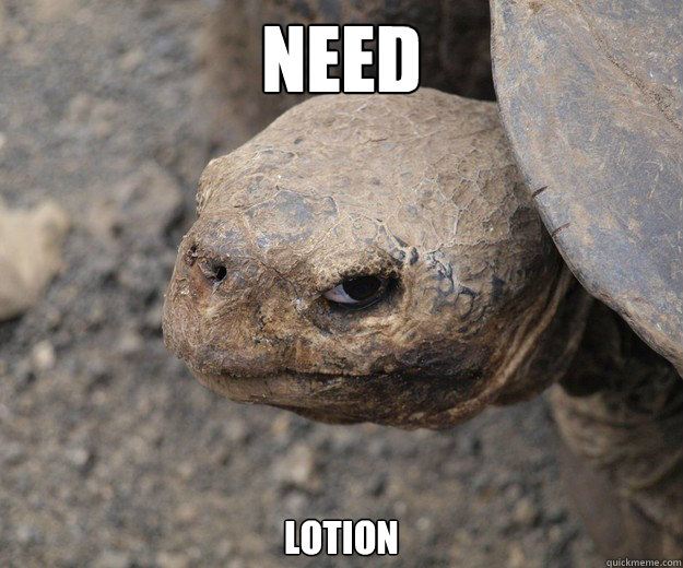 need lotion - need lotion  Insanity Tortoise