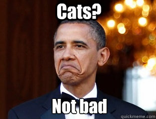 Cats? Not bad Caption 3 goes here  Not Bad Obama