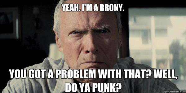 Yeah. I'm a Brony.
 You got a problem with that? Well, do ya punk?  