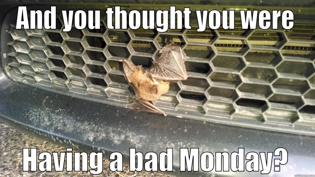 AND YOU THOUGHT YOU WERE HAVING A BAD MONDAY? Misc