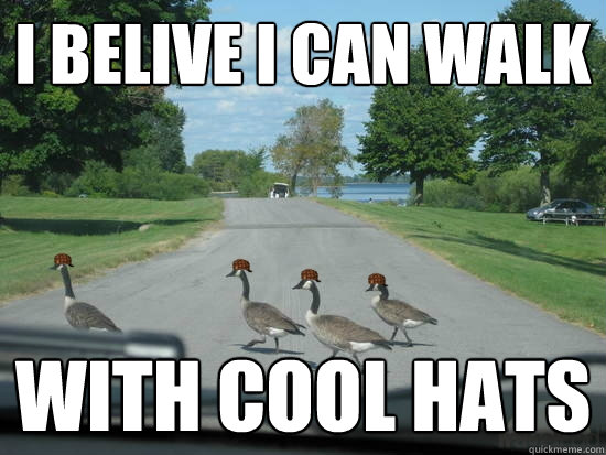 I BELIVE I CAN WALK
 WITH COOL HATS
  Scumbag Geese