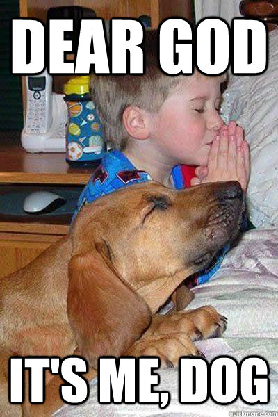 Dear god It's me, dog - Dear god It's me, dog  Gods Best Friend