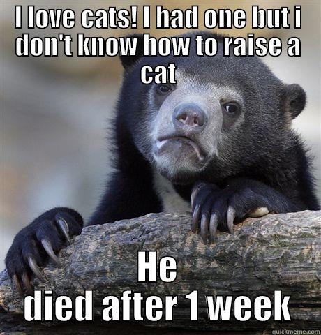 I really feel bad about myself. It took a big piece in my heart - I LOVE CATS! I HAD ONE BUT I DON'T KNOW HOW TO RAISE A CAT HE DIED AFTER 1 WEEK Confession Bear