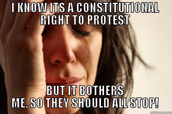 I KNOW ITS A CONSTITUTIONAL RIGHT TO PROTEST BUT IT BOTHERS ME, SO THEY SHOULD ALL STOP! First World Problems