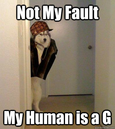 Not My Fault My Human is a G  Scumbag dog