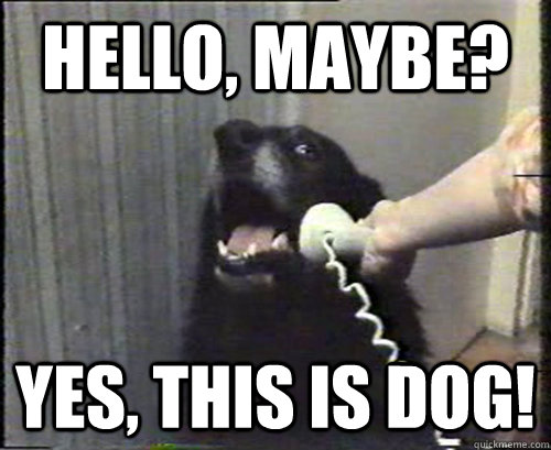 Hello, maybe? Yes, this is dog! - Hello, maybe? Yes, this is dog!  Misc