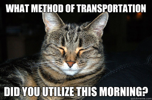 What method of transportation did you utilize this morning? - What method of transportation did you utilize this morning?  Confer Cat