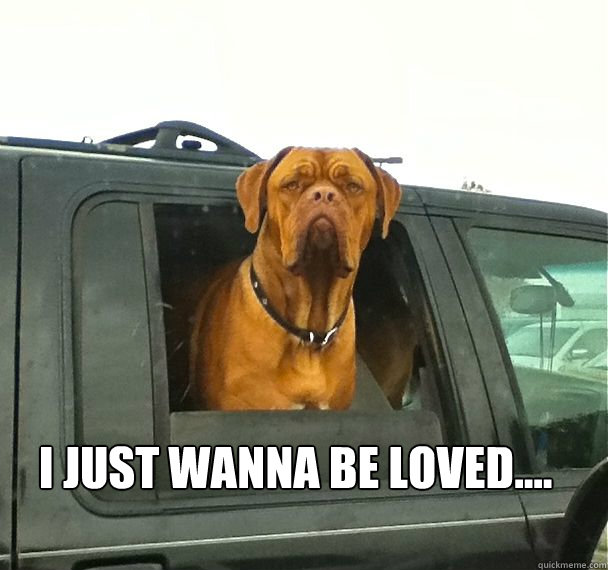  i just wanna be loved.... -  i just wanna be loved....  Misc