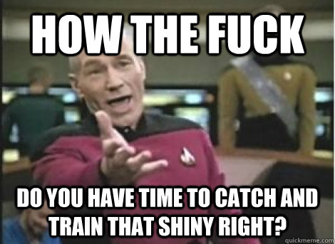 HOw the fuck do you have time to catch and train that shiny right? - HOw the fuck do you have time to catch and train that shiny right?  Misc