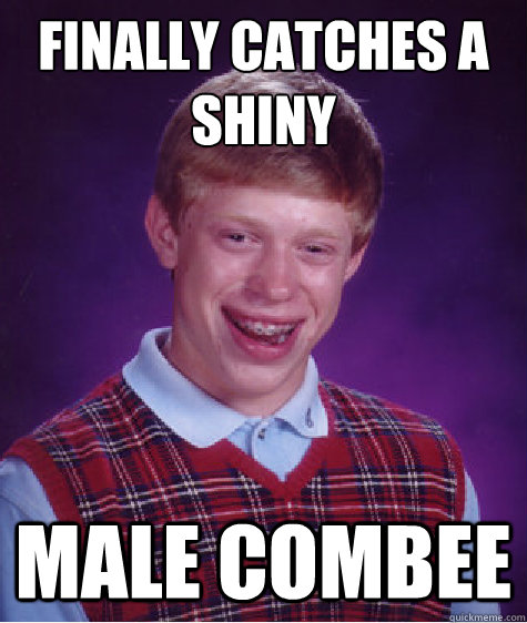 Finally catches a 
shiny male combee - Finally catches a 
shiny male combee  Bad Luck Brian