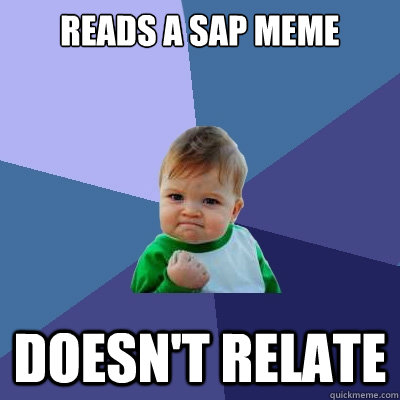 Reads a SAP meme Doesn't relate - Reads a SAP meme Doesn't relate  Success Kid