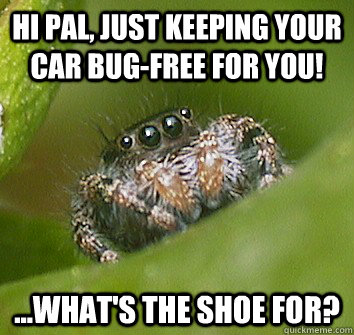 Hi pal, just keeping your car bug-free for you! ...what's the shoe for? - Hi pal, just keeping your car bug-free for you! ...what's the shoe for?  Misunderstood Spider