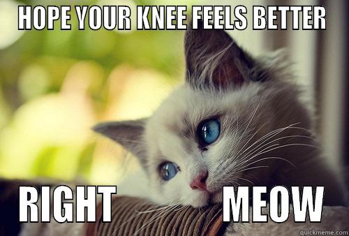 HOPE YOUR KNEE FEELS BETTER RIGHT               MEOW First World Problems Cat