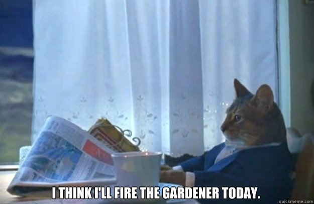I think I'll fire the gardener today.  Sophisticated Cat