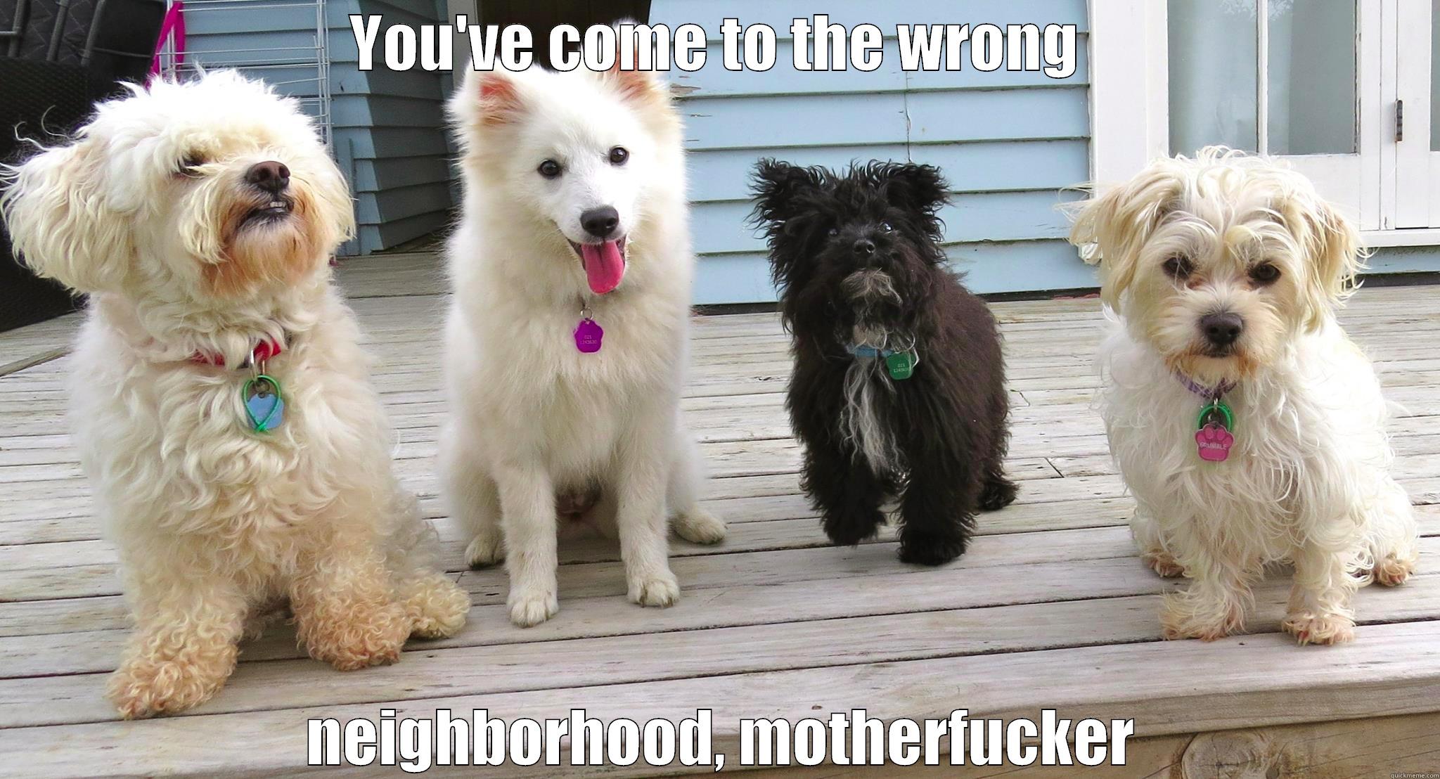 four dogs - YOU'VE COME TO THE WRONG  NEIGHBORHOOD, MOTHERFUCKER Misc