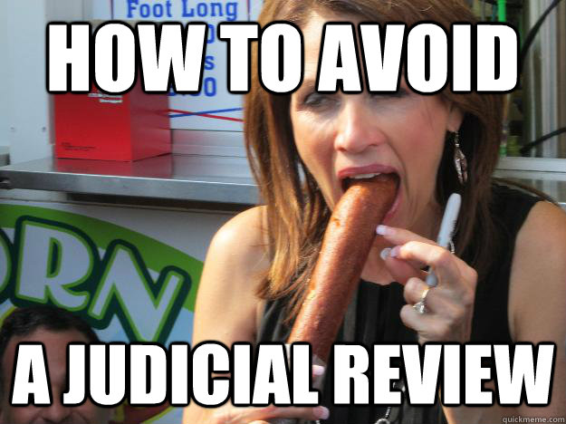 How to avoid A Judicial Review  Slutty Michele