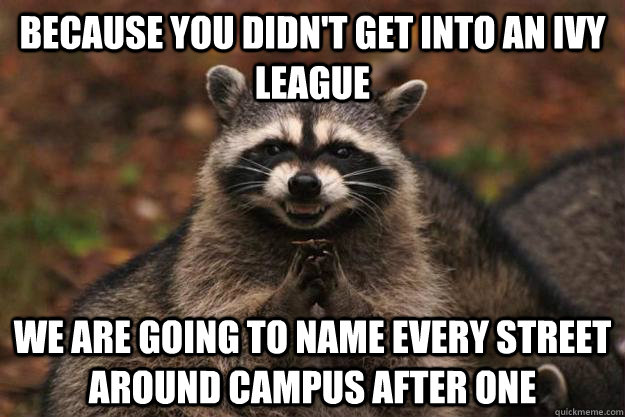 Because you didn't get into an ivy league We are going to name every street around campus after one - Because you didn't get into an ivy league We are going to name every street around campus after one  Evil Plotting Raccoon