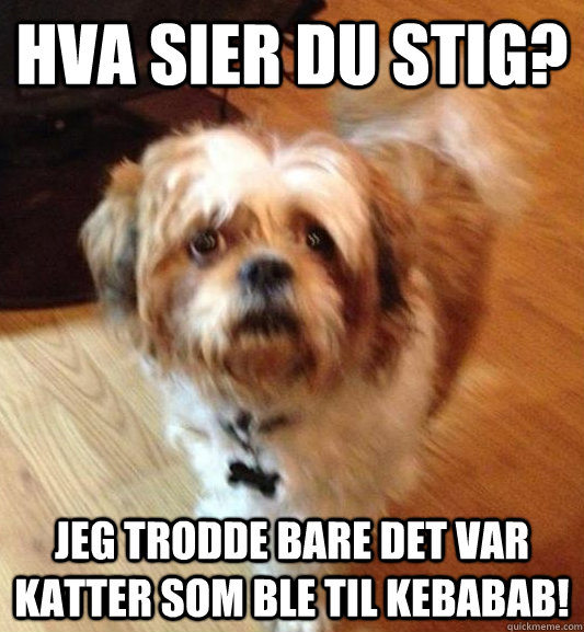 Hva sier du Stig?  jeg trodde bare det var katter som ble til kebabab!  