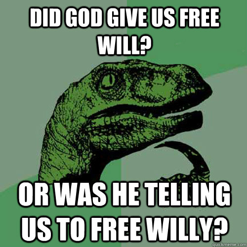 Did God give us free will? Or was he telling us to Free Willy?  Philosoraptor