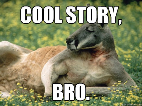 COOL STORY, BRO. - COOL STORY, BRO.  Quickmeme Critic Kangaroo