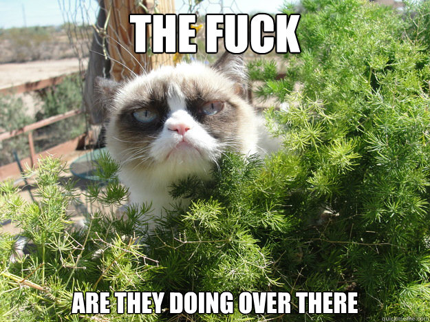 The Fuck are they doing over there - The Fuck are they doing over there  Misc