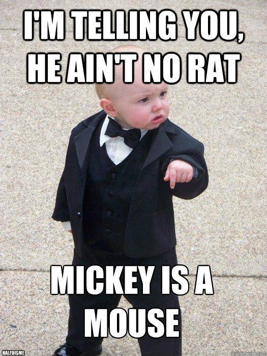 I'm telling you, he ain't no rat mickey is a mouse
 halfdisme  Baby Godfather