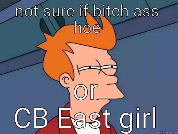 NOT SURE IF BITCH ASS HOE OR CB EAST GIRL Futurama Fry