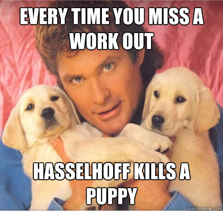 Every time you miss a work out Hasselhoff kills a puppy - Every time you miss a work out Hasselhoff kills a puppy  The Hoffs Puppy Hostages
