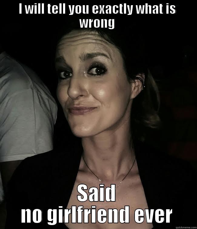 I WILL TELL YOU EXACTLY WHAT IS WRONG SAID NO GIRLFRIEND EVER Misc