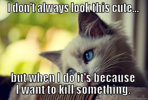 I DON'T ALWAYS LOOK THIS CUTE... BUT WHEN I DO IT'S BECAUSE I WANT TO KILL SOMETHING. First World Problems Cat