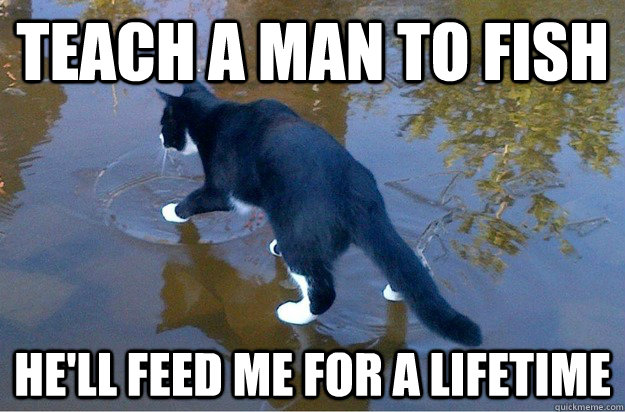 Teach a man to fish he'll feed me for a lifetime  Jesus Cat