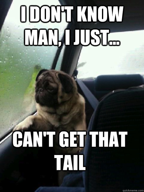 I don't know man, I just... can't get that tail - I don't know man, I just... can't get that tail  Introspective Pug