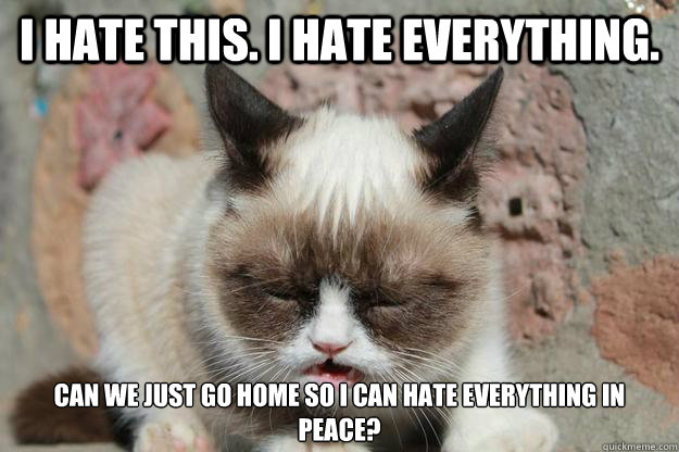 I hate this. I hate everything. Can we just go home so I can hate everything in peace? - I hate this. I hate everything. Can we just go home so I can hate everything in peace?  Grumpy Cat Hates Everything