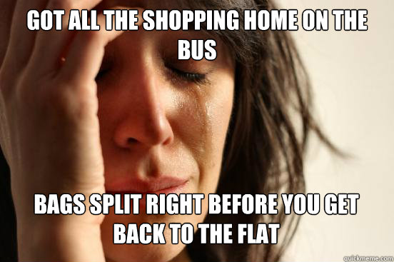 got all the shopping home on the bus
 bags split right before you get back to the flat   First World Problems