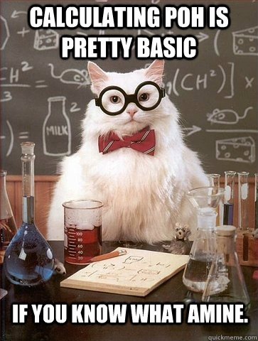 Calculating pOH is pretty basic If you know what amine.  Chemistry Cat