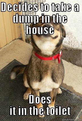 DECIDES TO TAKE A DUMP IN THE HOUSE DOES IT IN THE TOILET Good Dog Greg